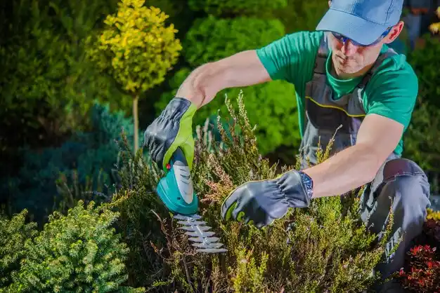 landscaping services Peculiar